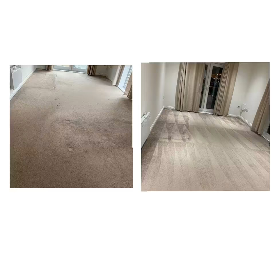 Lounge carpet extraction clean — Hornchurch — pet soiling and odour removed throughout the room