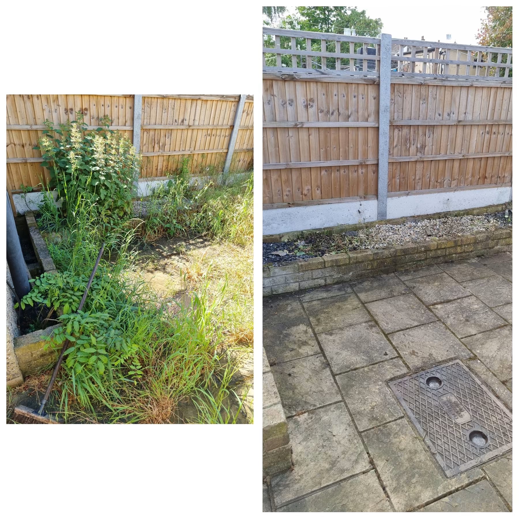 Garden border clearance — Grays, Essex — overgrown shrubs and weeds removed, border restored